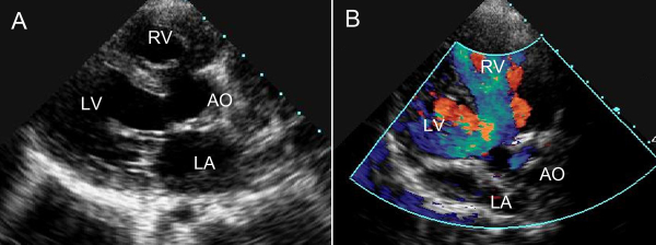 QQ图片20180813083252.jpg QQ图片20180813083252.jpg
